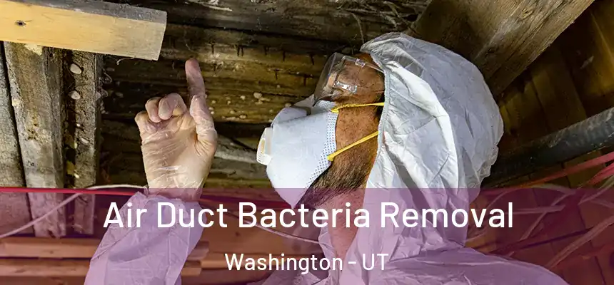 Air Duct Bacteria Removal Washington - UT