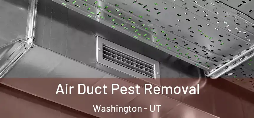 Air Duct Pest Removal Washington - UT