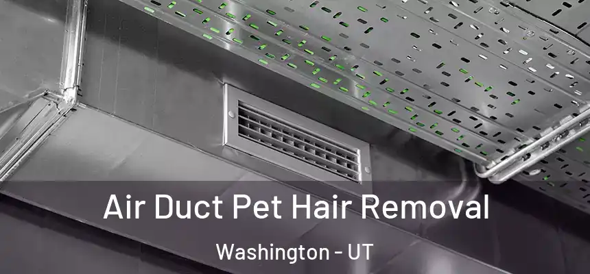 Air Duct Pet Hair Removal Washington - UT