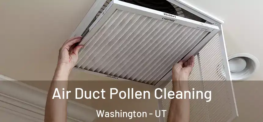 Air Duct Pollen Cleaning Washington - UT