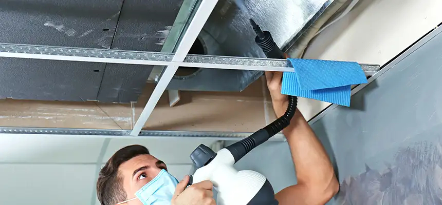 Our Air Duct Rodent Removal Services in Washington, UT