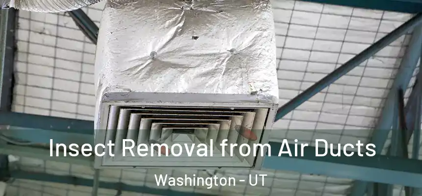  Insect Removal from Air Ducts Washington - UT