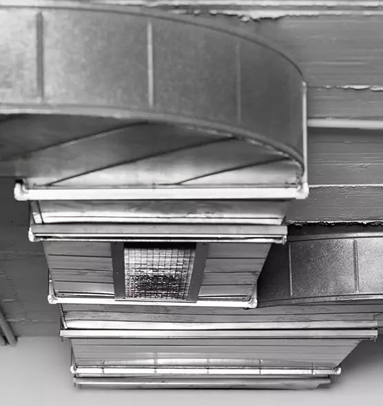 Professional Air Duct Pest Removal in Washington, UT