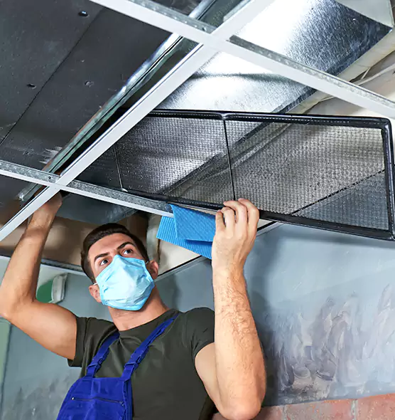 Professional Air Duct Pollen Cleaning in Washington, UT