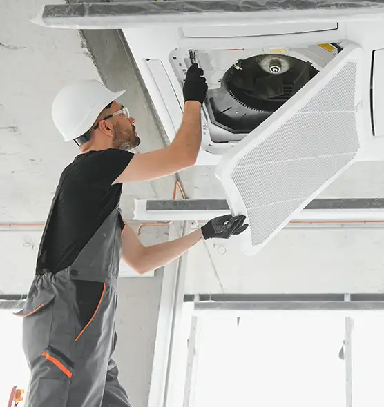 About Air Duct Rodent Removal in Washington, UT